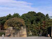 日皇的後花園 - 皇居東御苑