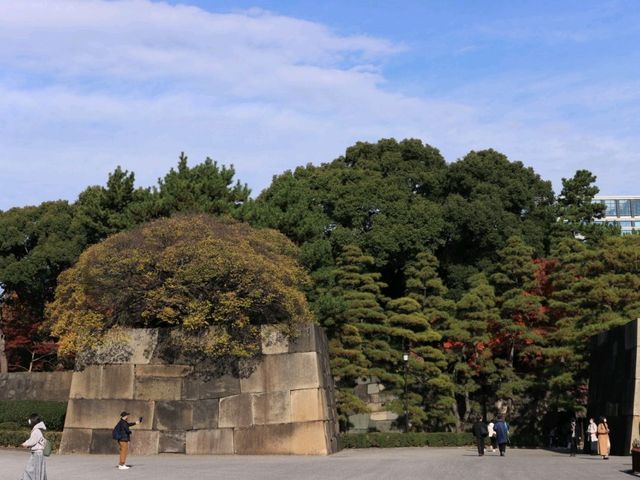 日皇的後花園 - 皇居東御苑