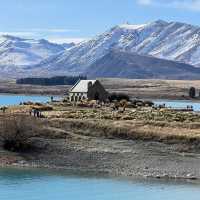 Lake Tekapo & Church of Good Shepherd 