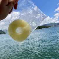 吉澳/鴨洲一日遊 — 美食篇