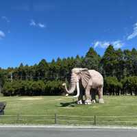 親子旅遊必到景點 - 九州自然動物園