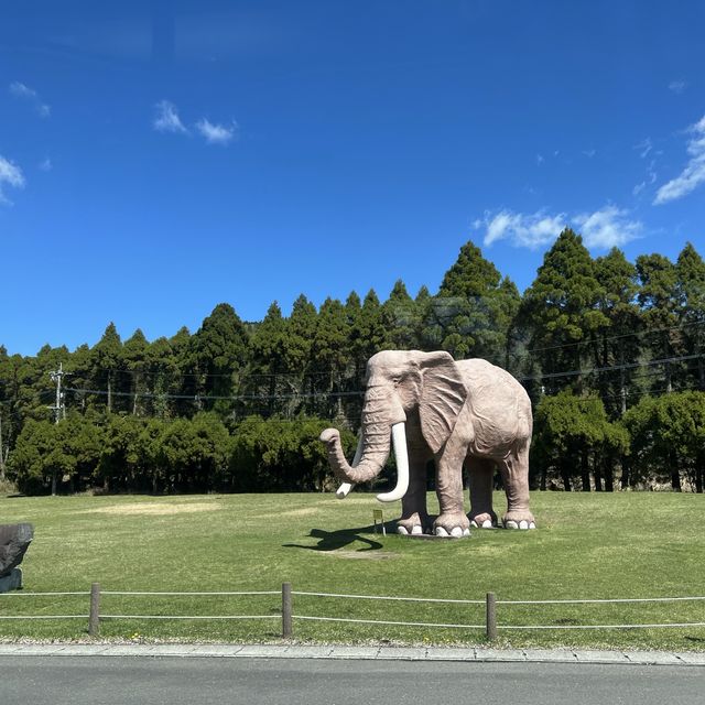 親子旅遊必到景點 - 九州自然動物園