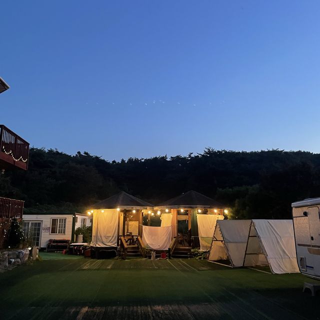 밤에 해루질로 꽃게, 조개, 소라 잡기 