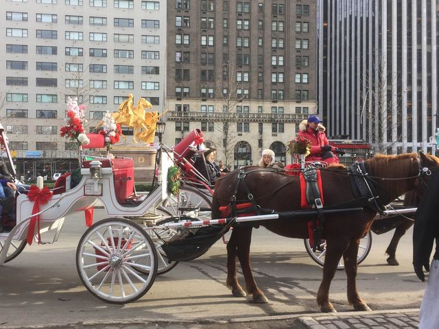 Riding a horse  in Central Park 