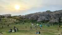 Best place to have picnic