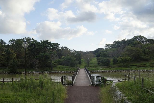 후쿠오카 전망대 Mt. Kagamiyama 