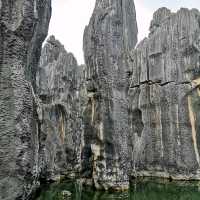 Labyrinthian Stone Forest in Shilin