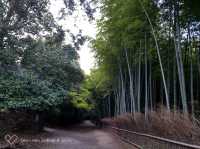 京都嵐山竹林之道