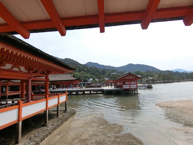 宮島～鳥居をみながらゆっくり散策～