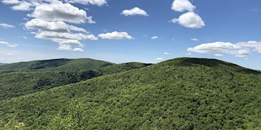 2024 Taconic Hiking Club's End-to-End Challenge | Berry Pond