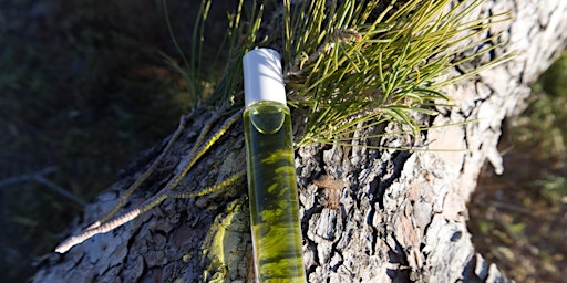 Pilchuck Wilderness Crafts: Natural Perfumery | Pilchuck Glass School