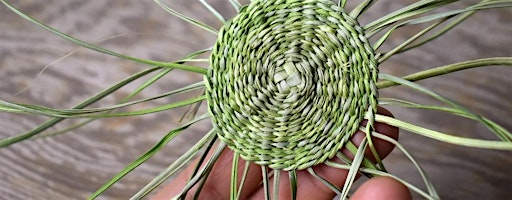 Wild  Basketry - Invasive Plant Twined Basket (& Hand Broom) with Julia Han | Fibershed Learning Center