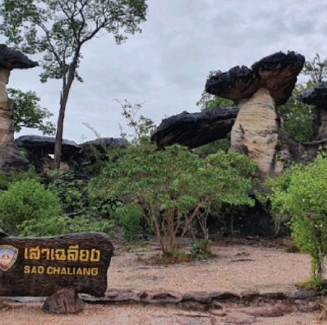 อุทยานแห่งชาติผาแต้ม จ.อุบลราชธานี