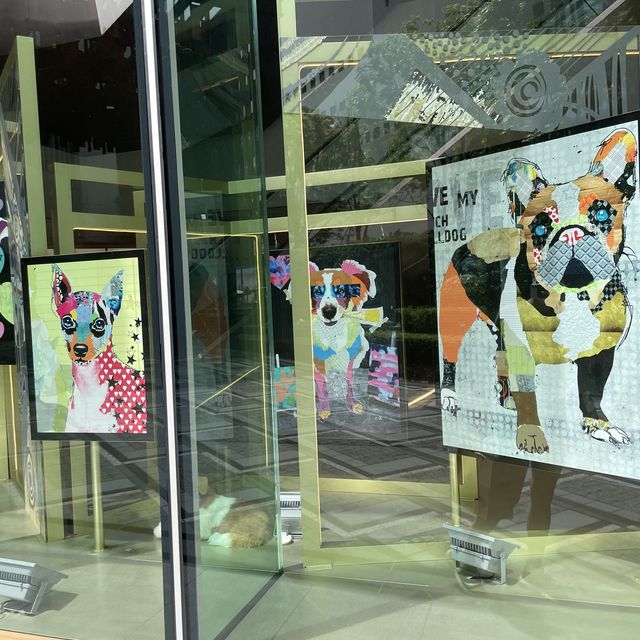 香港維港凱悅尚萃酒店