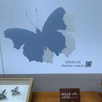 [🇰🇷, 진주] 산림박물관 전시회, ‘수목원 속 작은 친구들’ 🦋