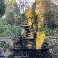夢の植物園