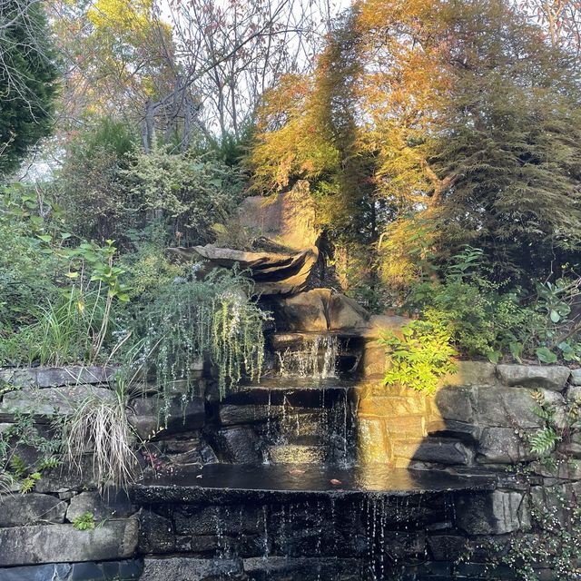 夢の植物園
