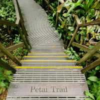 MacRitchie Reservoir