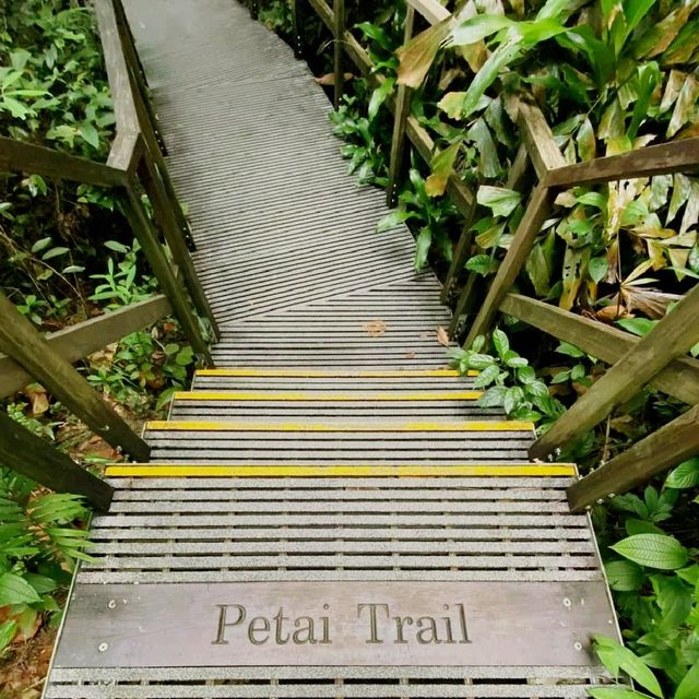 MacRitchie Reservoir