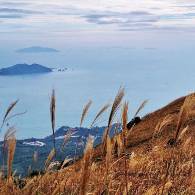 行山推薦 | 大東山🧗🏻♀️芒草之地🌾 行山推薦 | 大東山🧗🏻♀️芒草之地🌾