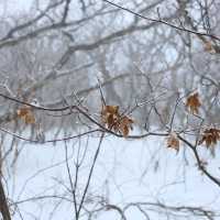 겨울가볼만한곳 1박2일 무주여행 덕유산 눈꽃산행

