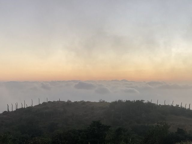 香港最高的山峰-大帽山｜日落。起霧。雲海。晚霞。夜景