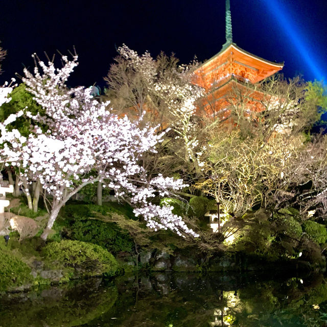 【京都】魅了されるライトアップ