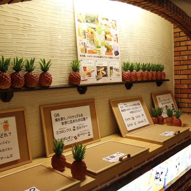 오키나와 나고파인애플 파크