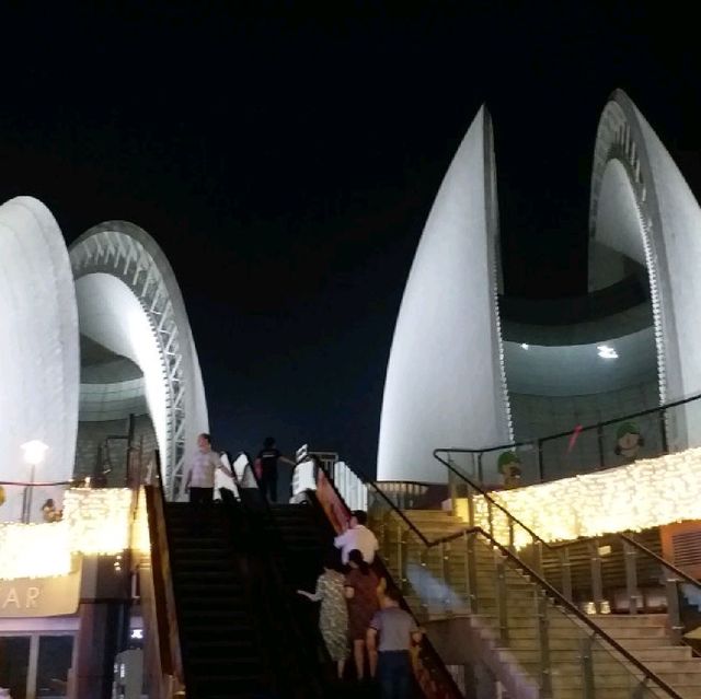 日月貝的日與夜