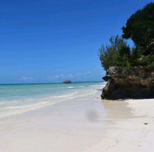여기가 낙원, 잔지바르 🏖 아프리카의 여름은 어떤모습일까? 