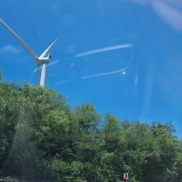 Bangui Windmill Farm