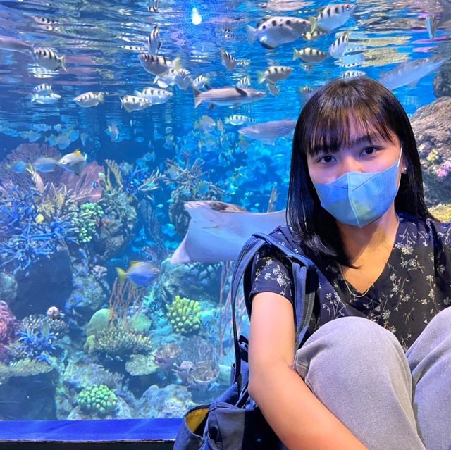 อวาเรีย ภูเก็ต แหล่งท่องเที่ยว(ห้าม)พลาด 