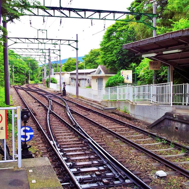 🚆 산악철도의 묘미, 하코네 등산열차