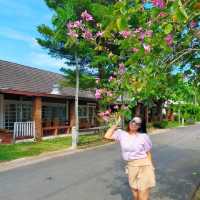 บ้านทรายแก้ว @ระยอง ที่พักติดหาดวิวสวย