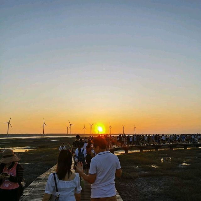 breathtaking Gaomei wetlands