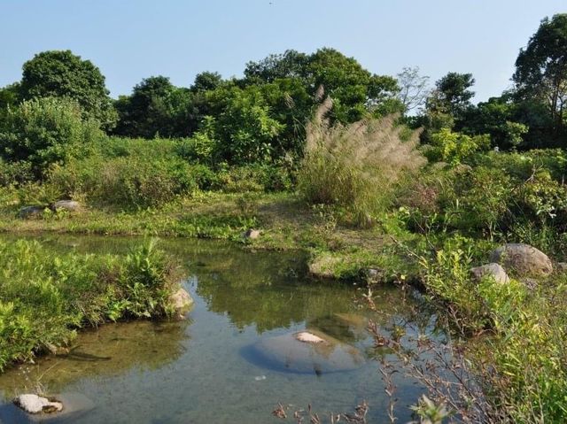 香港少有嘅生態公園～香港濕地公園