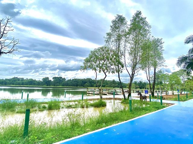วิวหน้าฝนสวนรุกขชาติ  | ตราด
