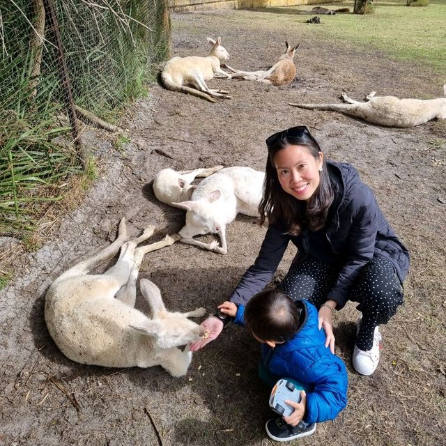 Kids Love Caversham Wildlife Park