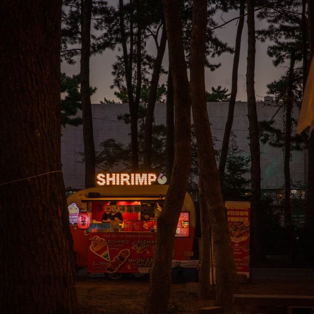 제주 “수목원길야시장”에서 즐기는 할로윈🎃