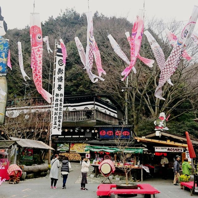 お祭り⁉️山の中に観光地⁉️名物🍴山賊焼🍗‼️