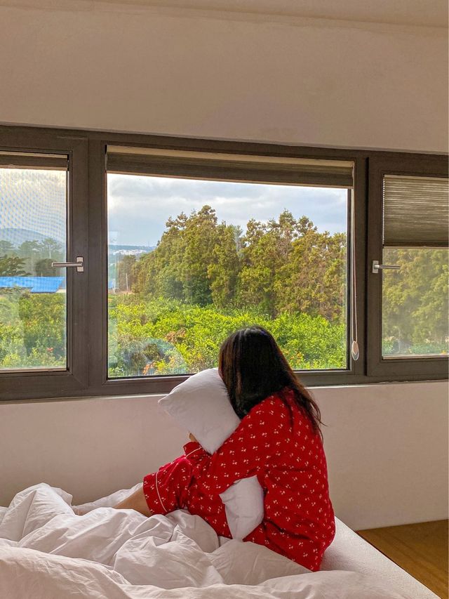 제주 동쪽 숙소, 가성비 있는 숙소 🏠고즈넉