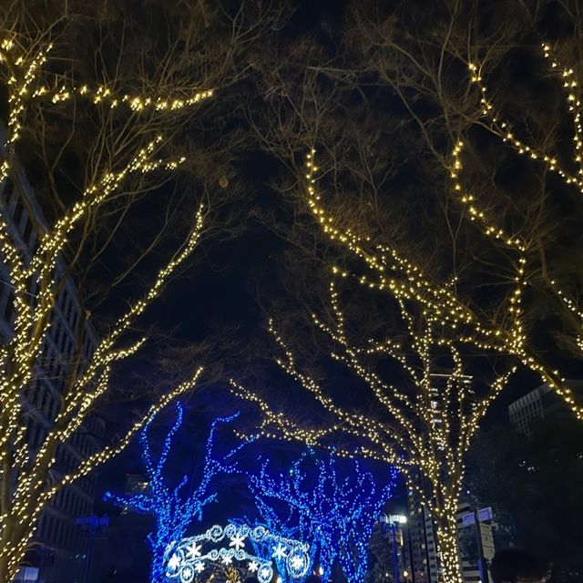 中之島のイルミネーション、クリスマスマーケット