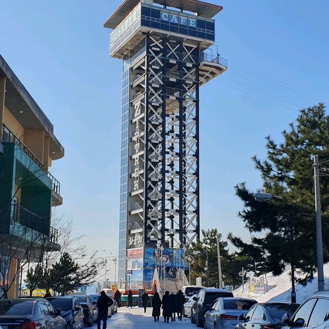 대천해수욕장에서 걸어서 10분이면 대천항 수산시장이다.