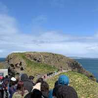 アイルランドの吊り橋