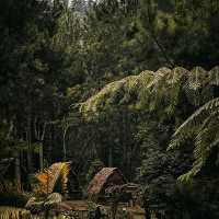 PERANTUNAN NATURAL TOURISM