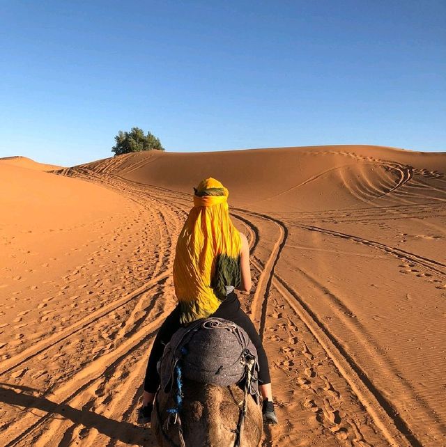 Moroccan Active Adventures. 