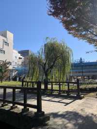 【東京都】錦糸町駅近く　大横川親水公園