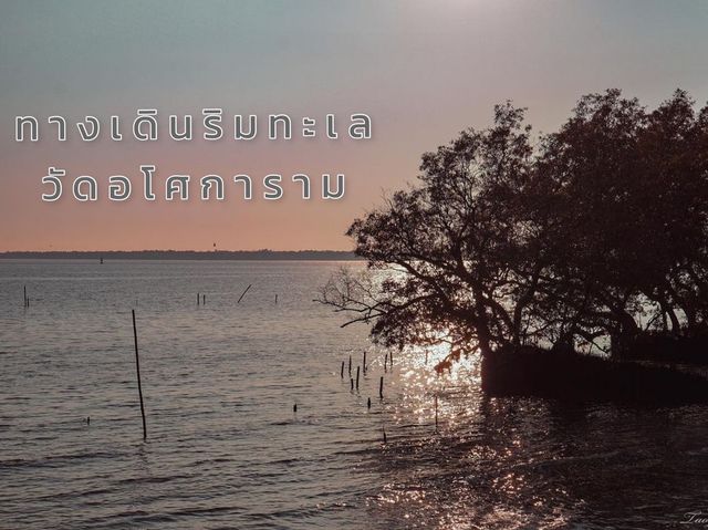 ทางเดินริมทะเลวัดอโศการาม