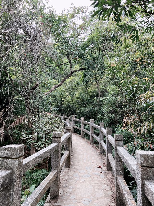 香港熱門賞紅葉景點🍂🍁 流水響郊遊徑