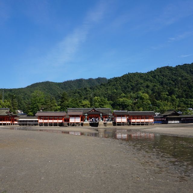 【広島】宮島のベストスポット⛩厳島神社